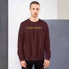 Load image into Gallery viewer, Classic Fit Sport T Logo Jumper

