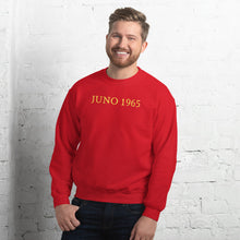 Load image into Gallery viewer, Classic Fit 1965 Logo Jumper
