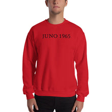 Load image into Gallery viewer, Standard Fit 1965 Logo Jumper
