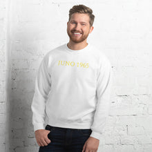 Load image into Gallery viewer, Classic Fit 1965 Logo Jumper
