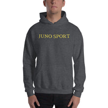 Load image into Gallery viewer, Classic Fit Sport T Logo Hoodie
